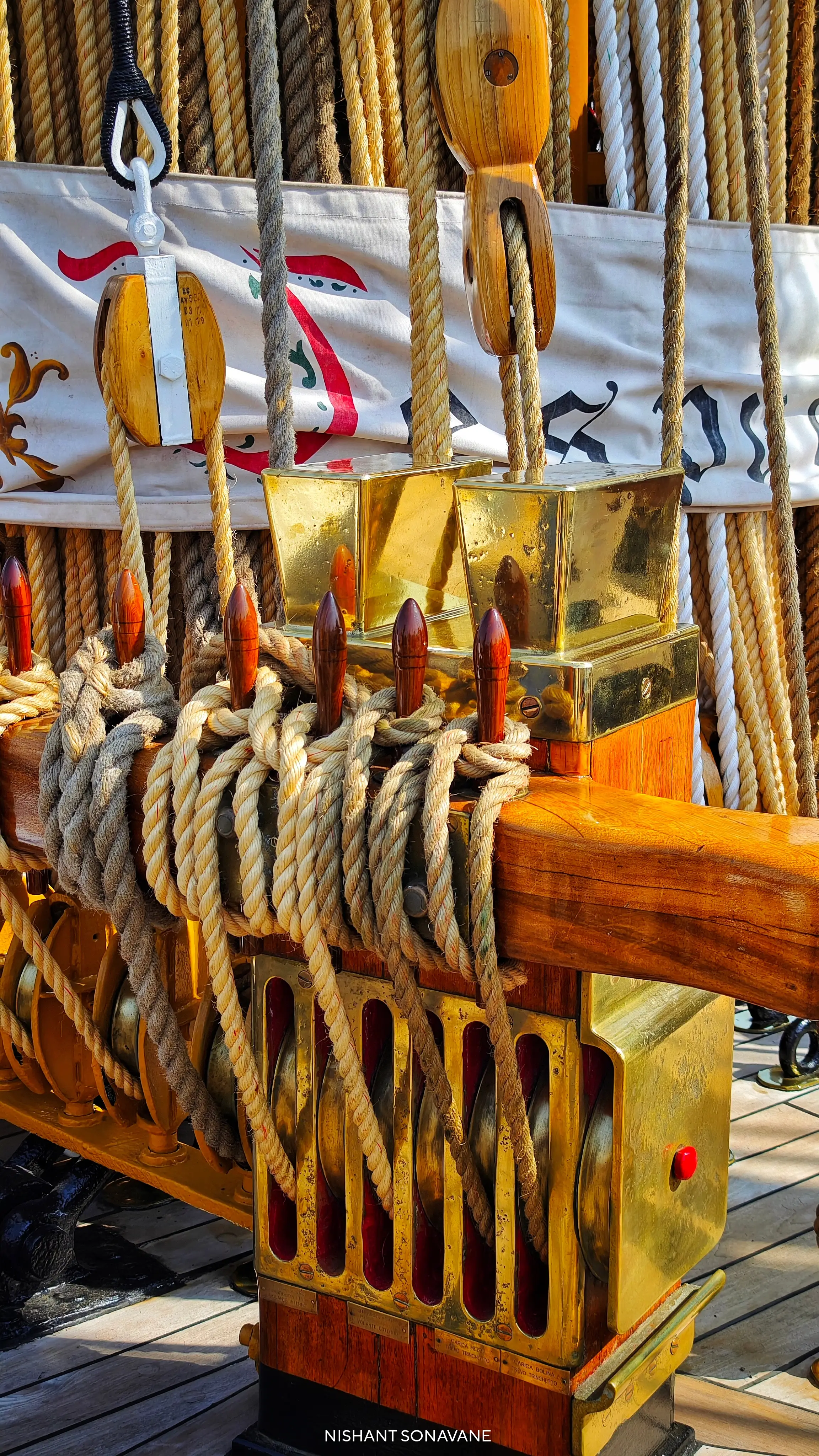 Amerigo Vespucci 31