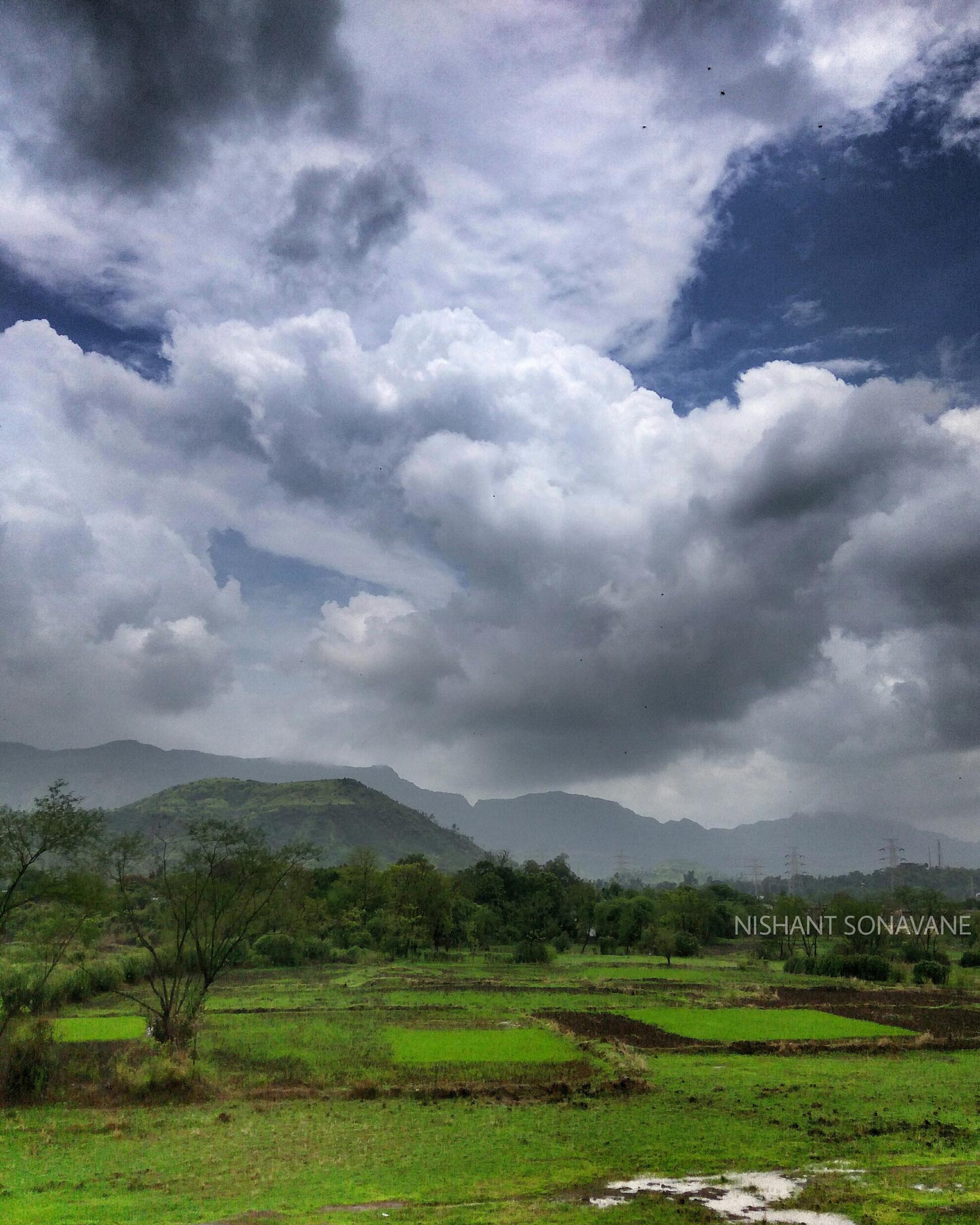 Clouds Greenary