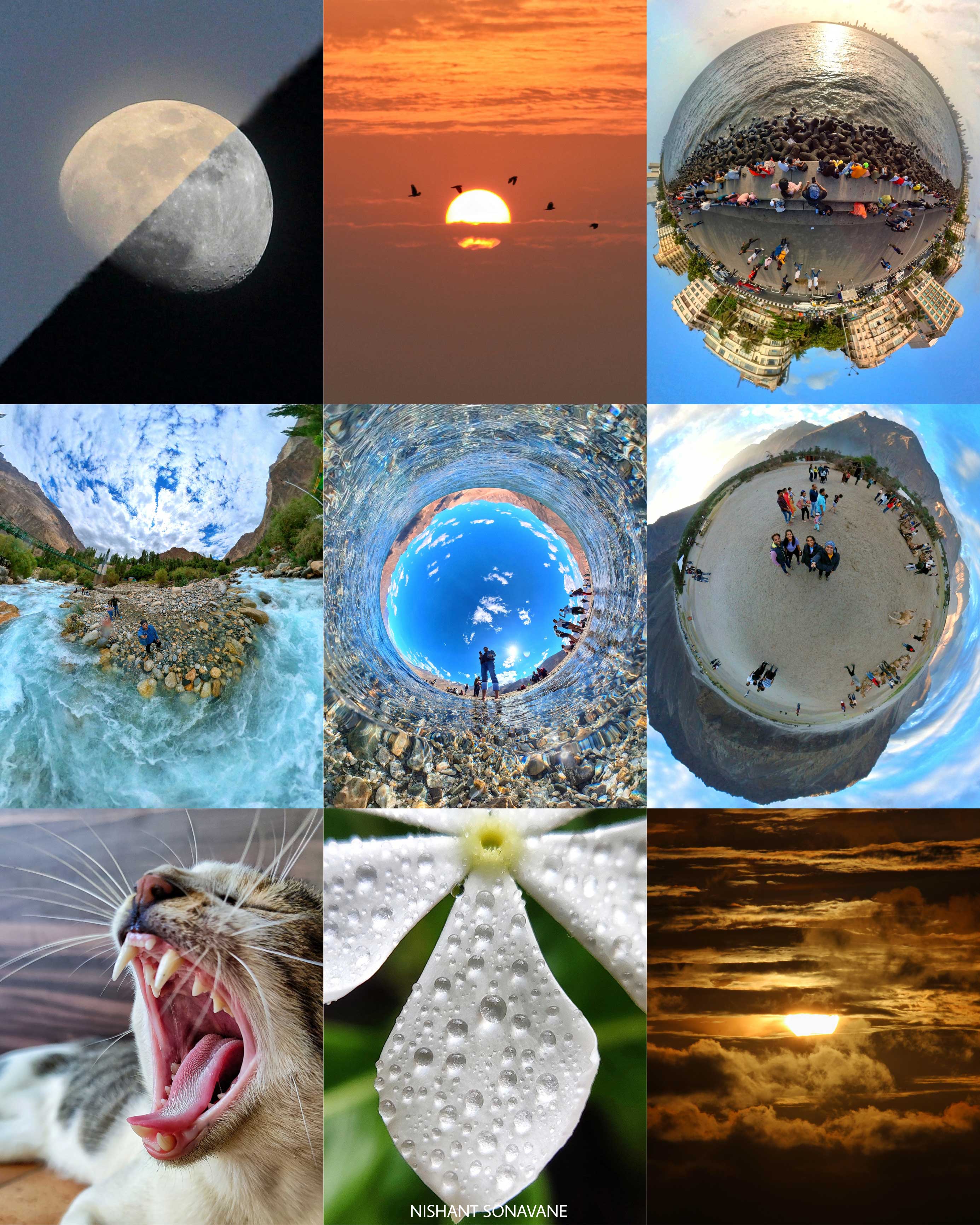 Collage 28 Aug 2022
